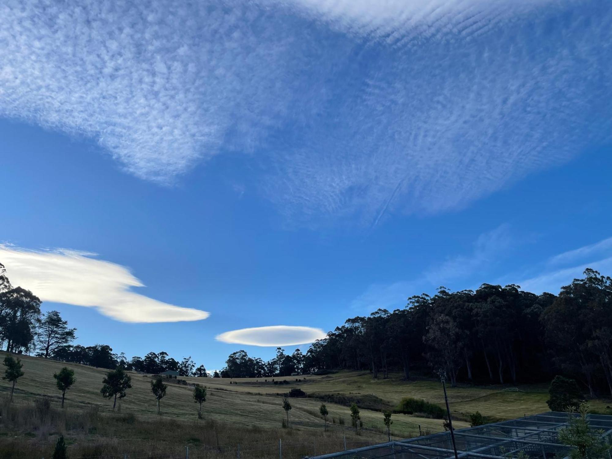 Apartamento Amaroo With A View Set On A 50 Acre Hobby Farm Collinsvale Exterior foto