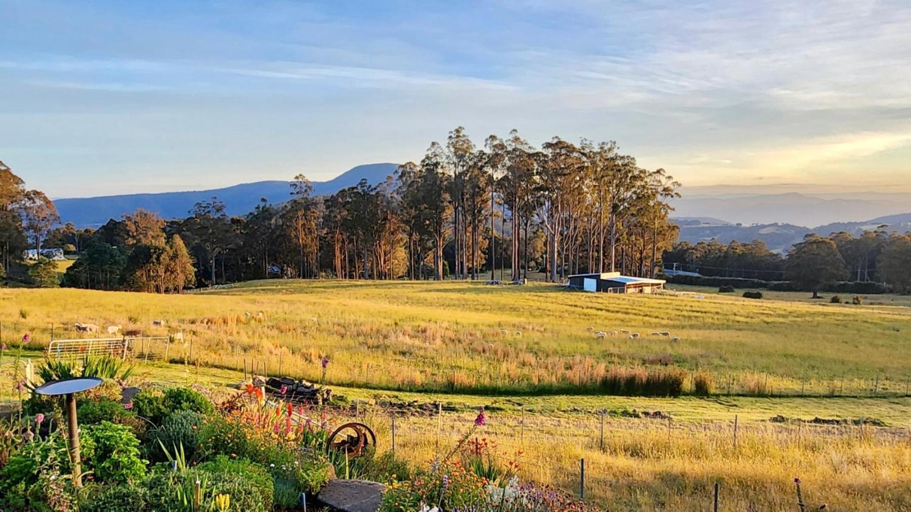 Apartamento Amaroo With A View Set On A 50 Acre Hobby Farm Collinsvale Exterior foto