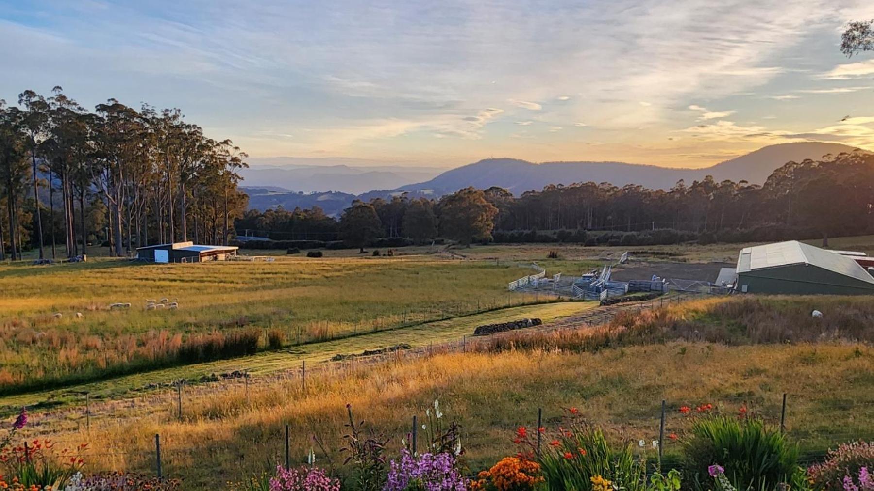 Apartamento Amaroo With A View Set On A 50 Acre Hobby Farm Collinsvale Exterior foto