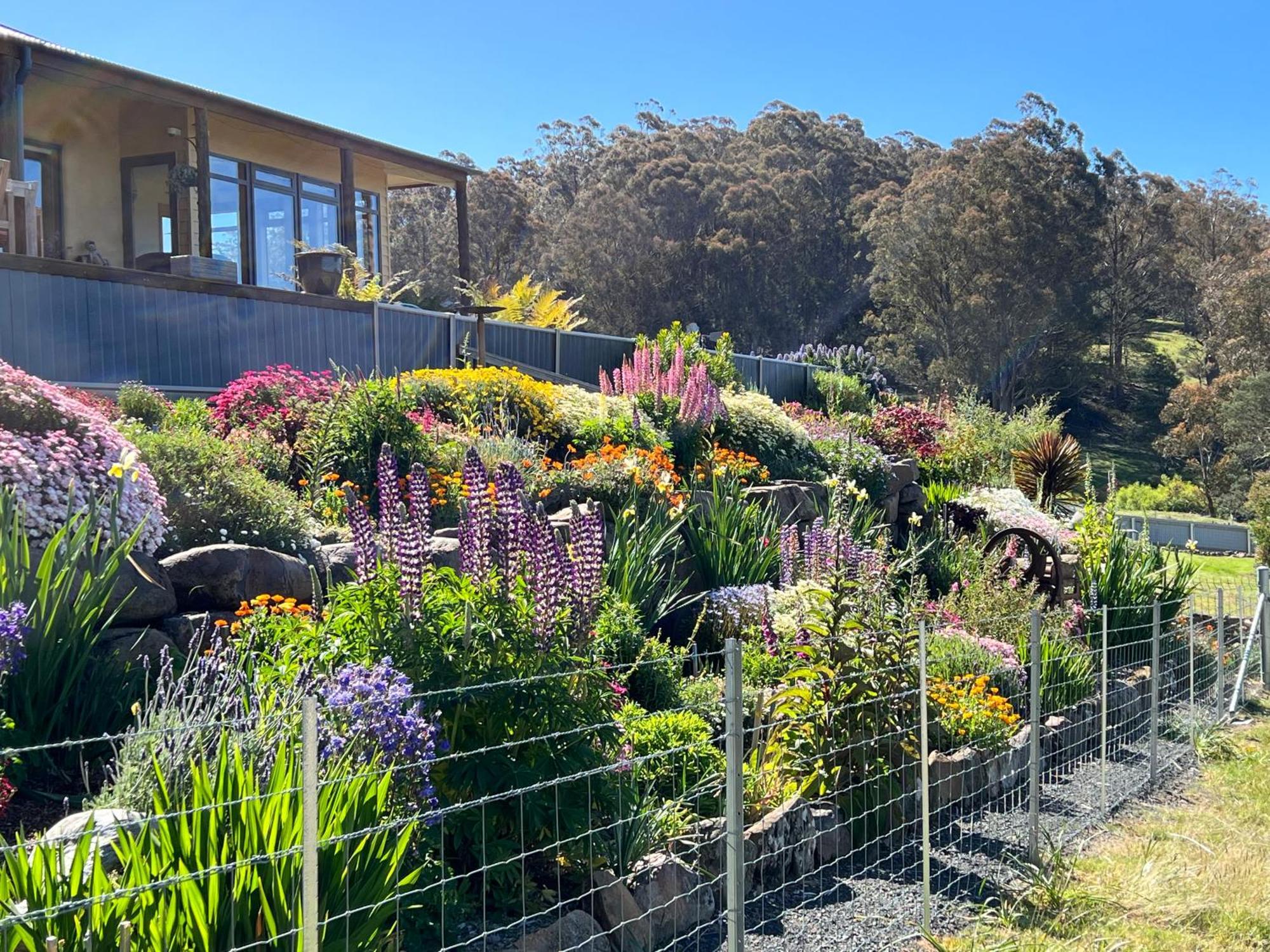 Apartamento Amaroo With A View Set On A 50 Acre Hobby Farm Collinsvale Exterior foto